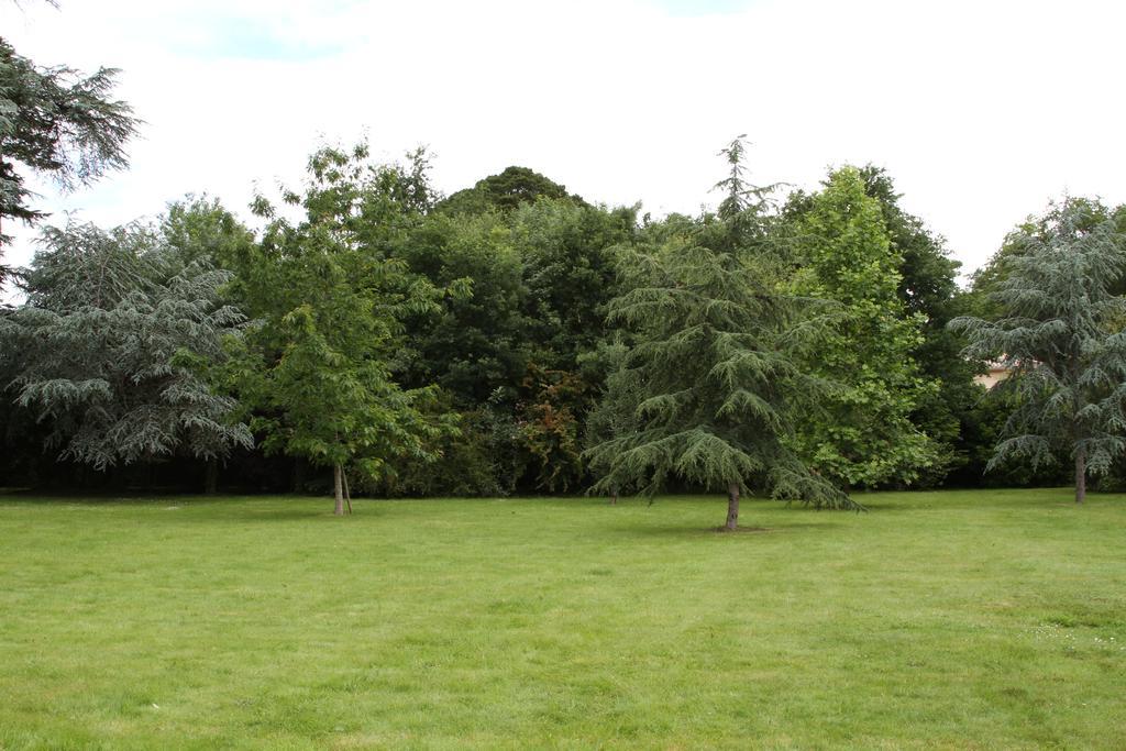 Chateau Du Bois De La Noe ブエイ エクステリア 写真