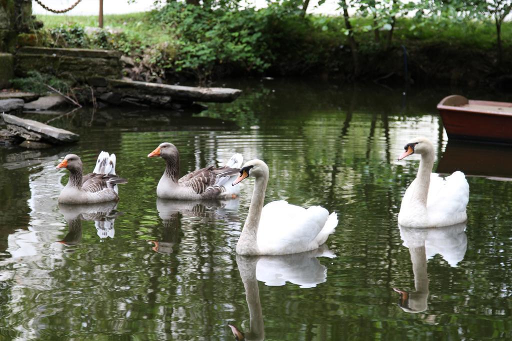 Chateau Du Bois De La Noe ブエイ エクステリア 写真