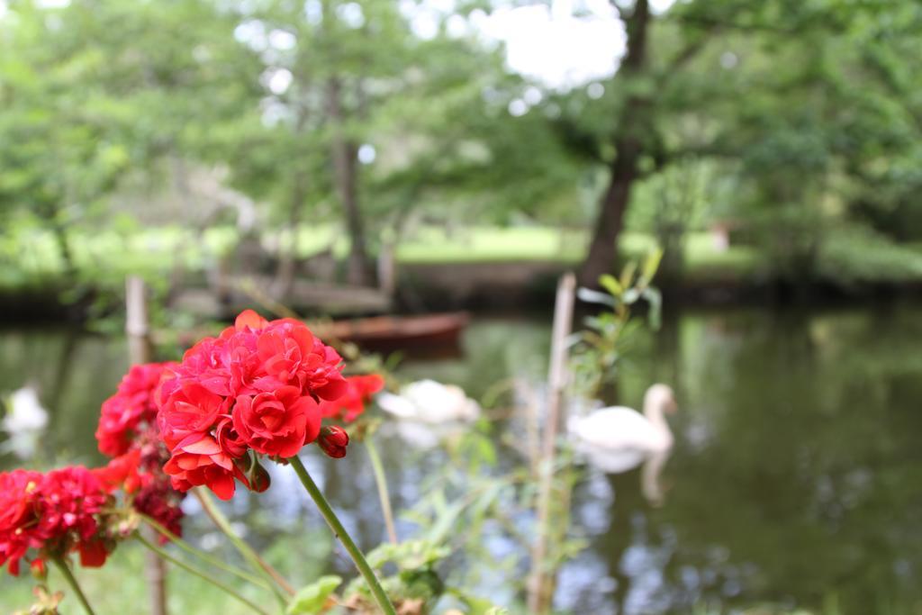 Chateau Du Bois De La Noe ブエイ エクステリア 写真